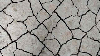 plate tectonic theory summary
