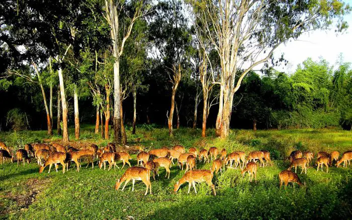wildlife sanctuaries and national parks in india