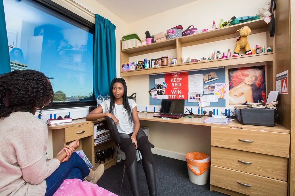 Definition, Meaning and Examples