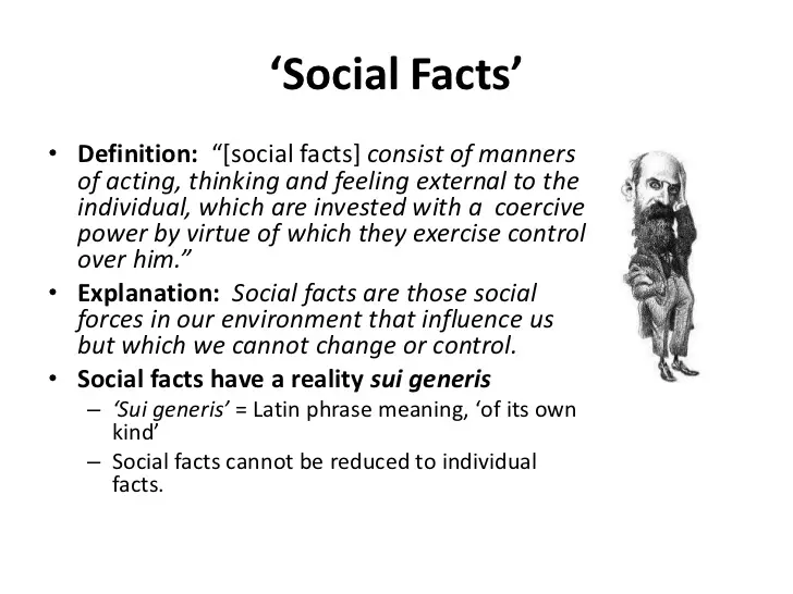 social facts-types and meaning