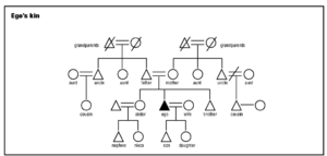 kinship types,degree and importance