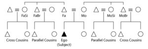 parallel and cross cousins explanation