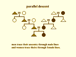 parallel descent concept