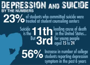 students suicides case study