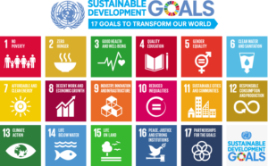 SDG-Sustainable-Development-Goals-17