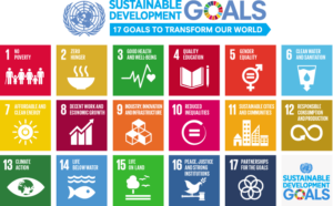 What are the 17 Sustainable Development Goals of United Nations?