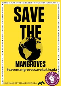 save mangroves in kakinada