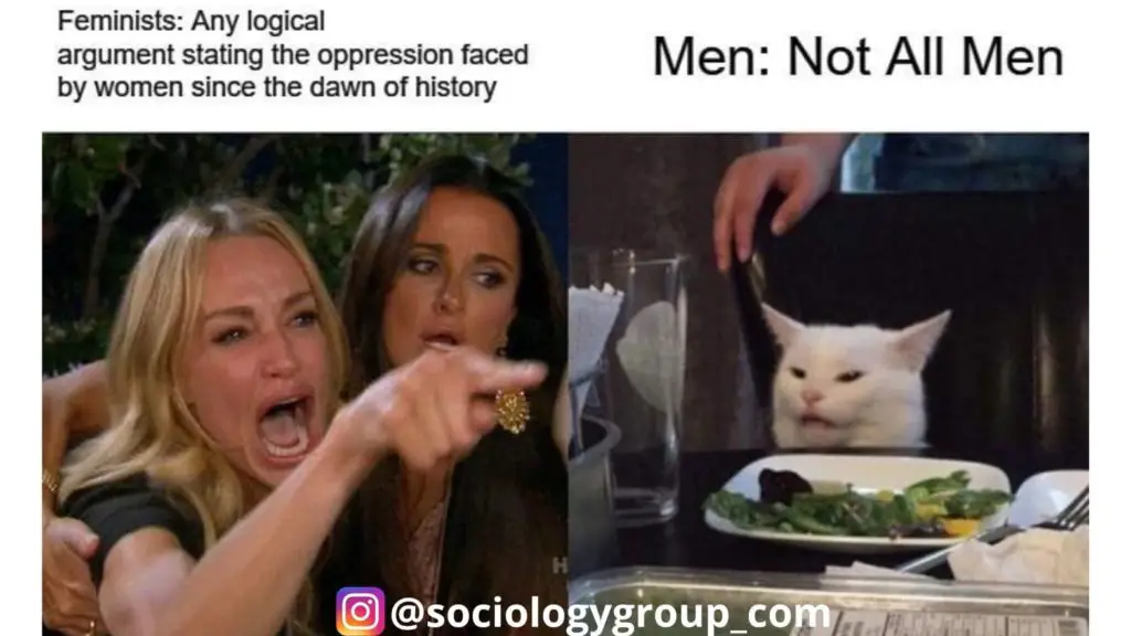 feminsts meme