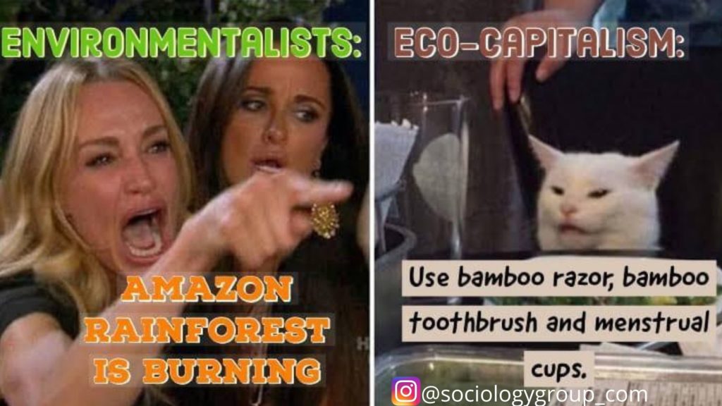 environmentalists vs eco capitalism memes