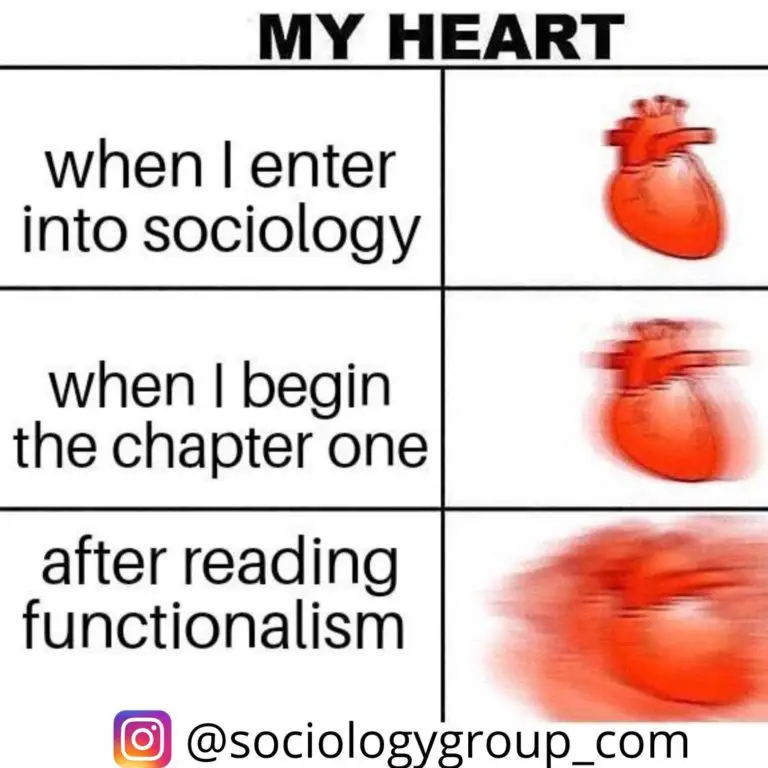 sociology meme assignment