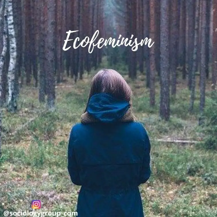 What is Ecofeminism