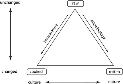 the culinary triangle: food