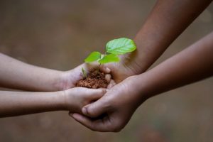 What is Environmental Psychology