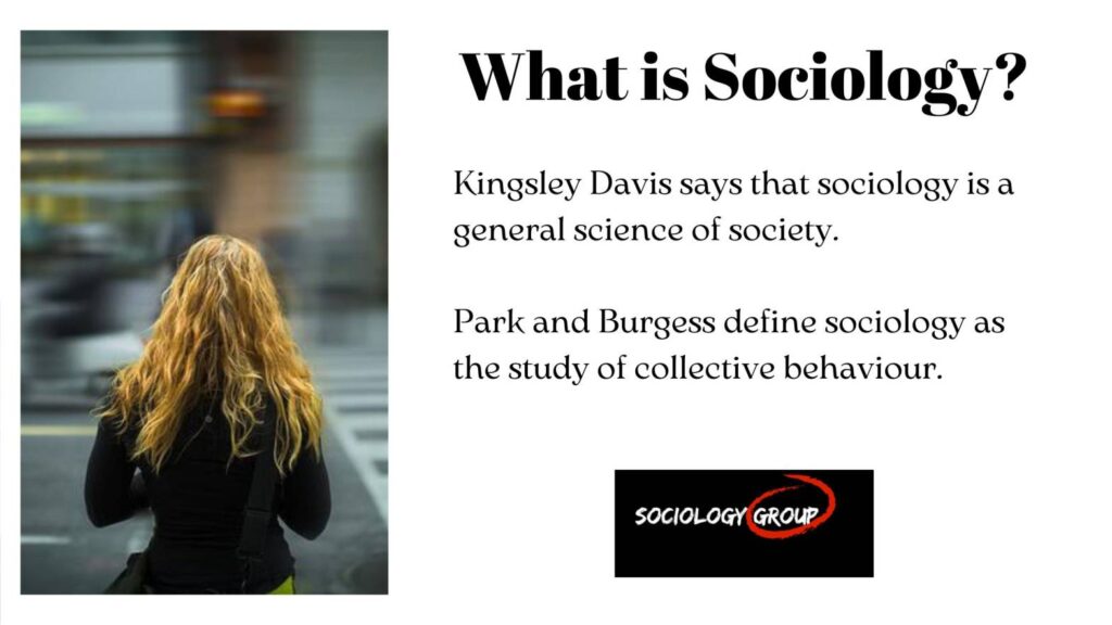 What is Sociology? definitions, examples, images