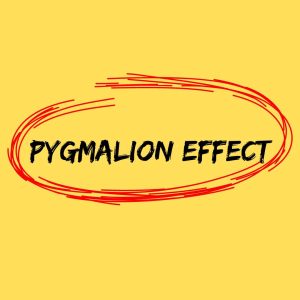 Pygmalion effect Examples